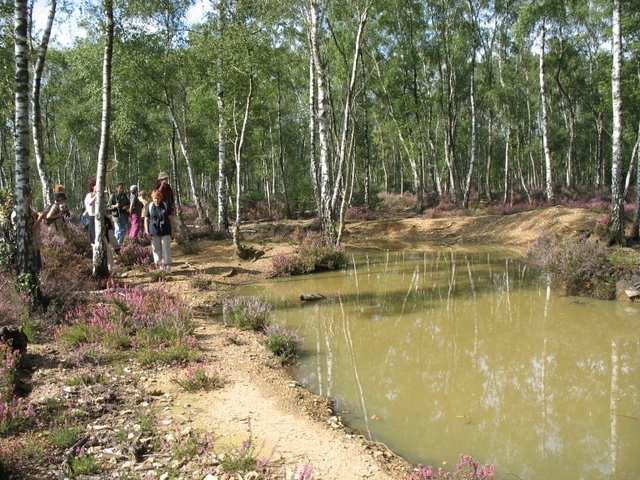2007 08 Bois de Rochefort 27